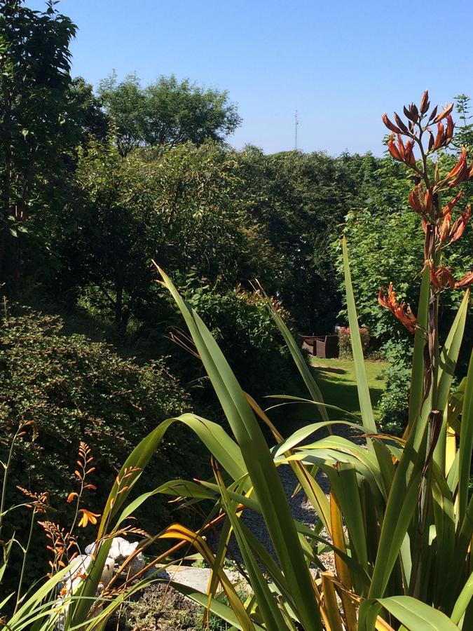 Boscastle House Bed & Breakfast Ngoại thất bức ảnh