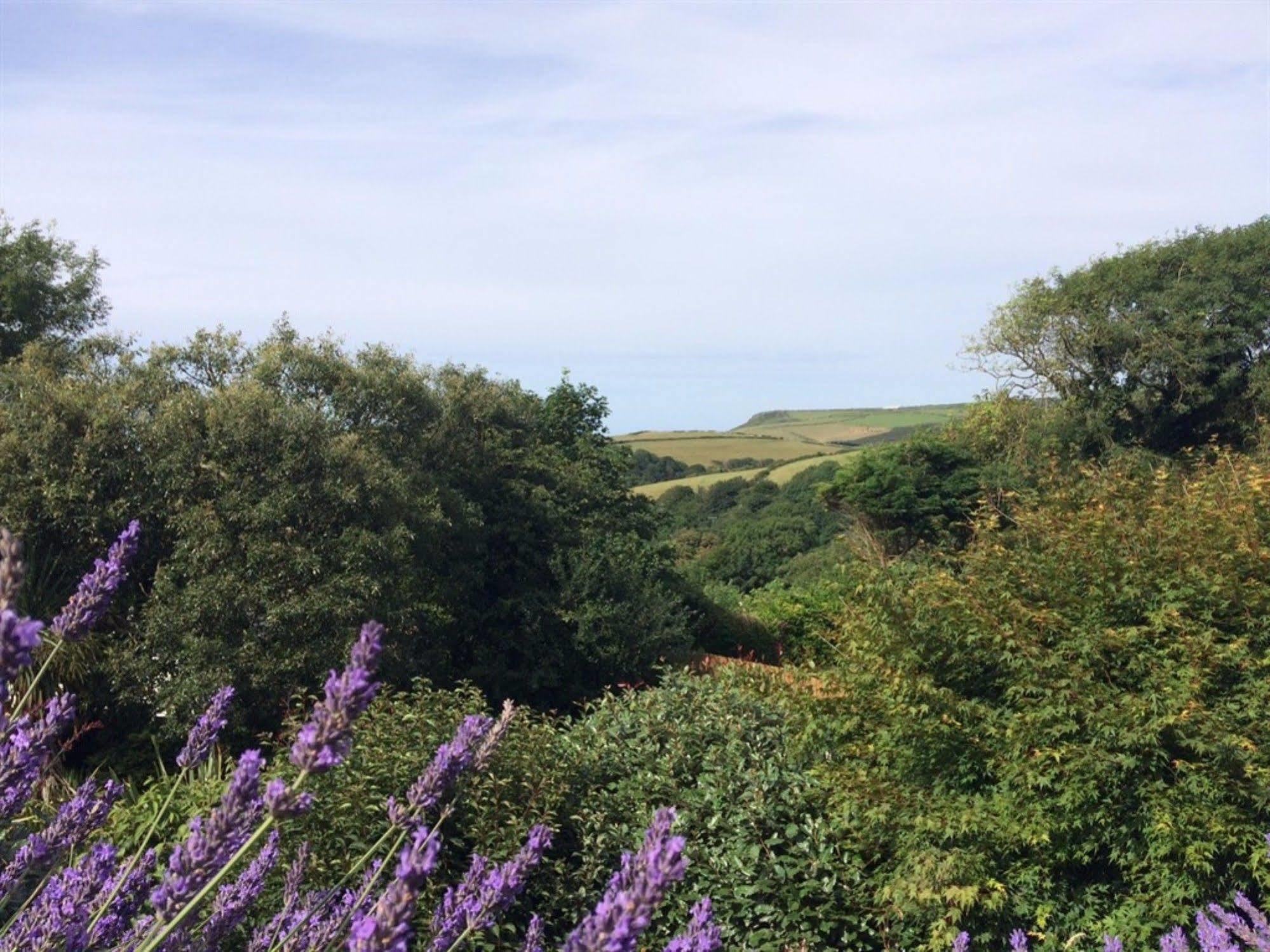 Boscastle House Bed & Breakfast Ngoại thất bức ảnh