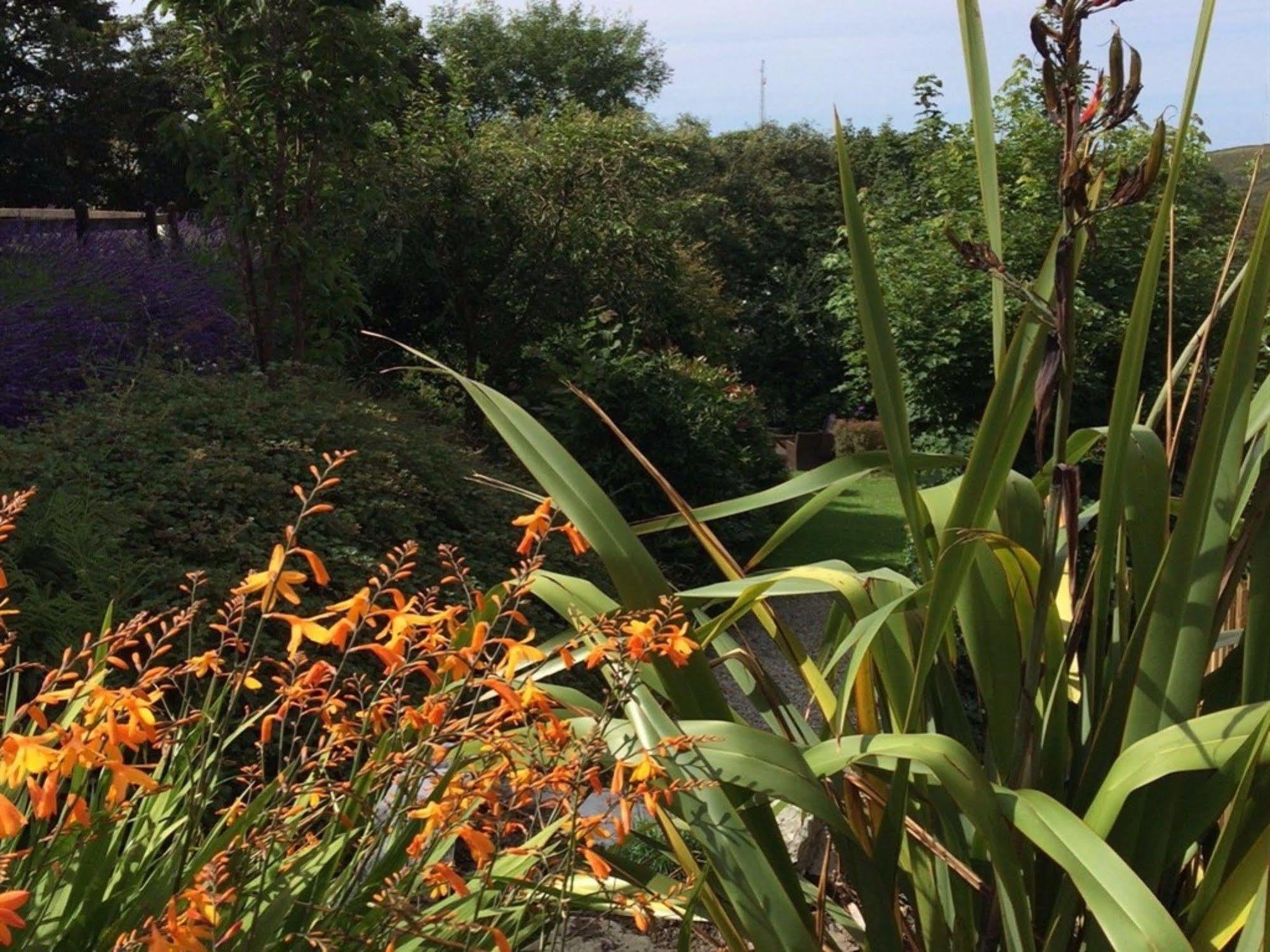 Boscastle House Bed & Breakfast Ngoại thất bức ảnh